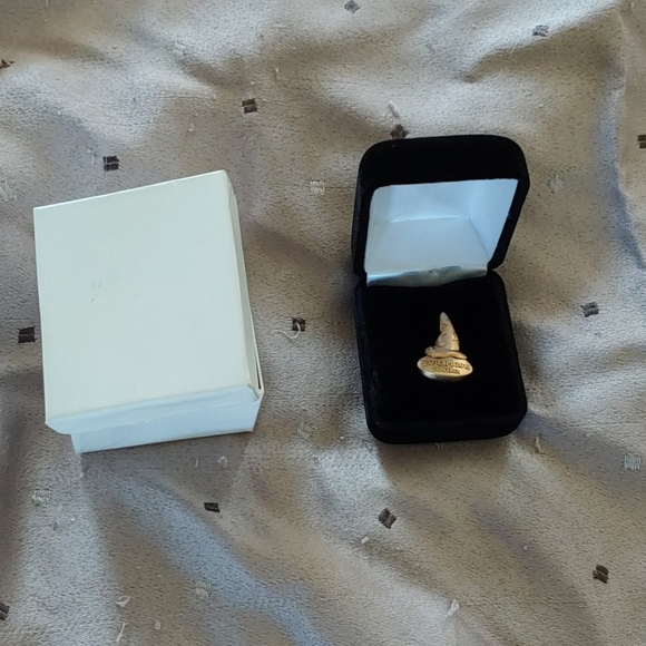 D23 Sorcerer 2015 limited edition pin - Picture 2 of 3